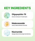 ACROPASS TROUBLE CARE MICROCONE PATCH | 여드름 관리 패치(9P)