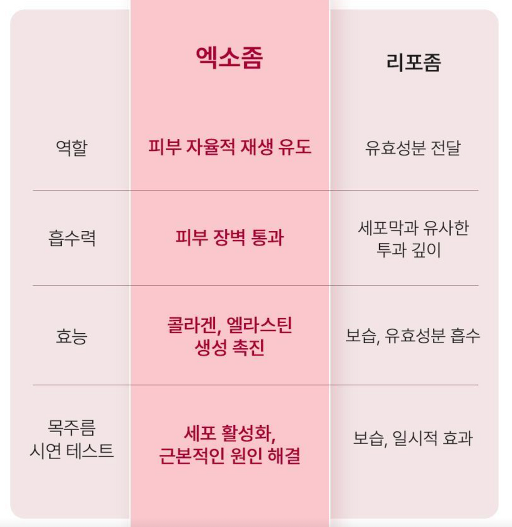 BEAUND NECK SILKY  | 뷰앤디 넥실키 5매입