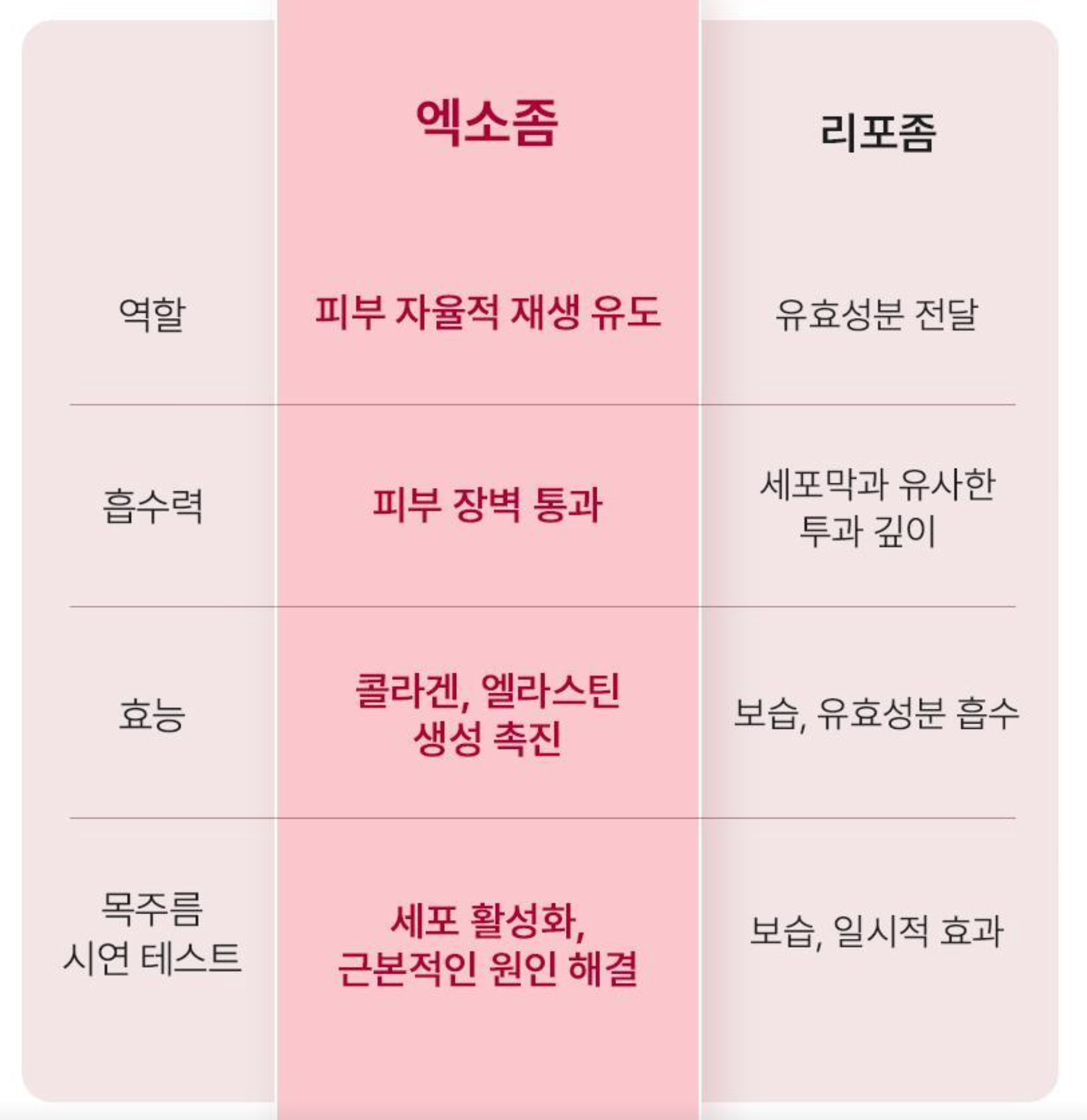 BEAUND NECK SILKY  | 뷰앤디 넥실키 5매입